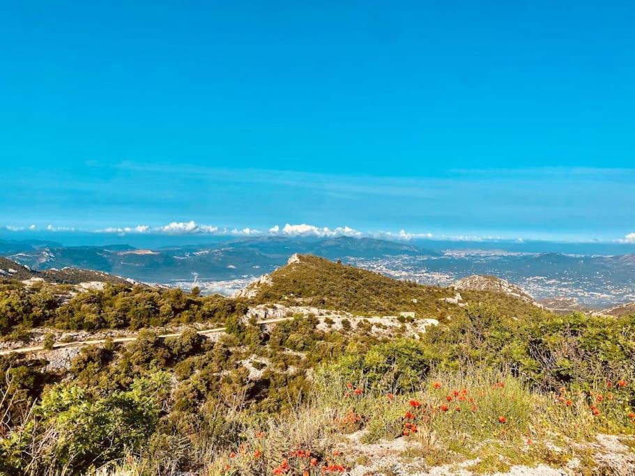 Vila Tiny Liloumaca Coeur Ste Baume Plan d'Aups Exteriér fotografie