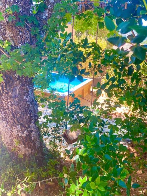 Vila Tiny Liloumaca Coeur Ste Baume Plan d'Aups Exteriér fotografie