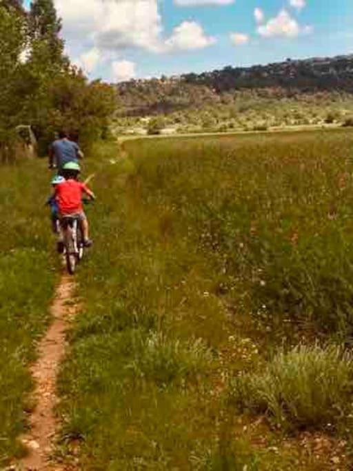 Vila Tiny Liloumaca Coeur Ste Baume Plan d'Aups Exteriér fotografie