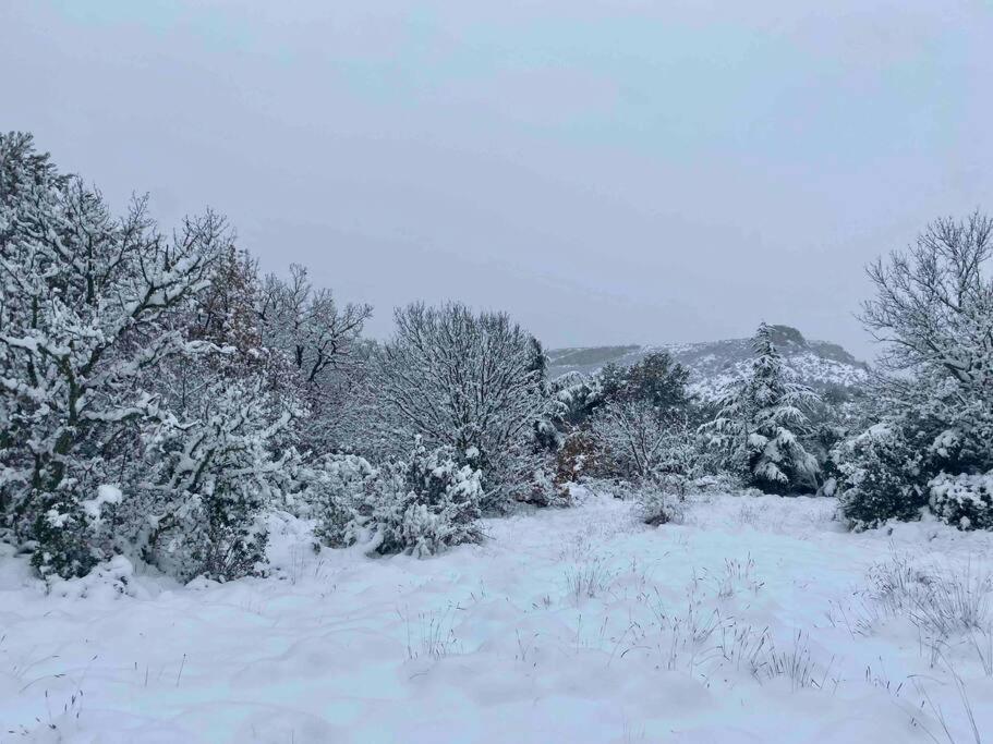 Vila Tiny Liloumaca Coeur Ste Baume Plan d'Aups Exteriér fotografie